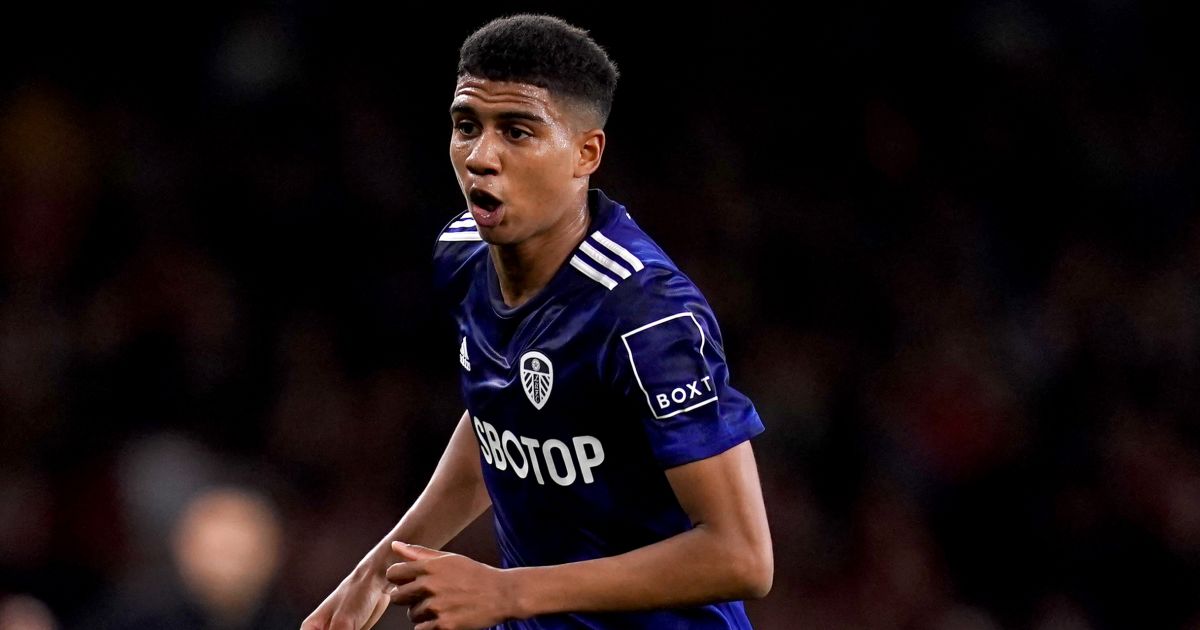 Key clause missing as Cardiff City seal loan deal for Cody Drameh